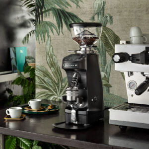 Mazzer Mini G