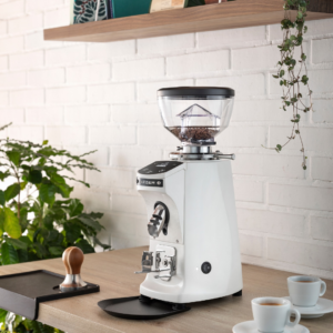Mazzer Mini