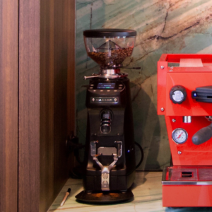 Mazzer Mini G